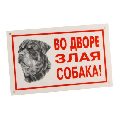 Портрет Ротвейлер Собака Из Рабочей Группы Собак. Фотография, картинки,  изображения и сток-фотография без роялти. Image 50015911