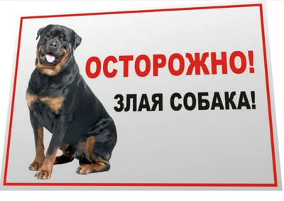 Адресник для собаки Ротвейлер портрет 30x30мм купить в интернет-магазине  Зоомагазин Pardi.ru всего за 490 руб.