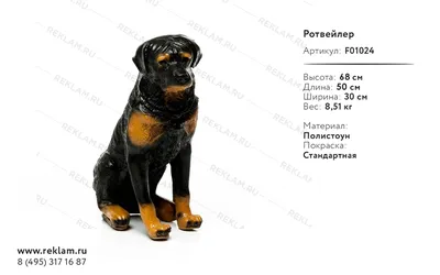 Животное Q9899-542 собака, ротвейлер, 34см,: купить Интерактивные игрушки  BabyToys в Украине