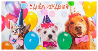 Открытки с днем рождения с животными - скачайте бесплатно на Davno.ru