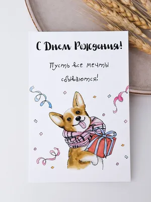 Иллюстрация 11 из 30 для С днем рождения, собака! - Римма Алдонина |  Лабиринт - книги. Источник: Ларчик