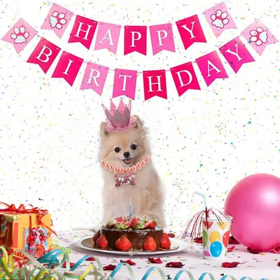 Открытки с Днем рождения с Собаками – Привет Пипл!