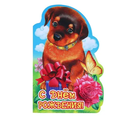 Открытка -конверт \"С Днём Рождения!\" Кошка и собака купить в Минске |  1-20-0973