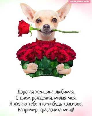 Конверт для денег С Днем рождения Рыже-белая собака, АВ-Принт, РФ (5Д-1690)  купить оптом в Минске