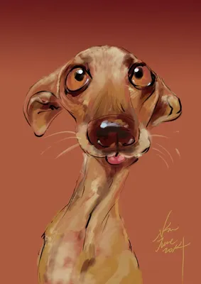 нарисованная собака, собака, собаки, ручная роспись png | Klipartz