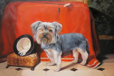 Наклейка на авто собака чихуахуа щенок животное рисованные силуэт - купить  по выгодным ценам в интернет-магазине OZON (708454288)