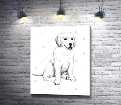 Рисованные собаки (21 фото) - картинки sobakovod.club