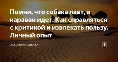 Собака лает, караван идет · «7x7» Горизонтальная Россия