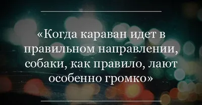 Собака лает - караван идёт. Как преодолеть страх критики? - WOMANUR