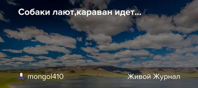 Собаки лают - караван идет. Как зарабатывать 100+ в месяц в Дзен и  двигаться к цели, если обстоятельства против | Бизнес наизнанку | Дзен