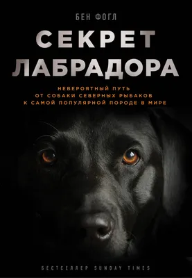Ездовые собаки. Великий транспорт севера – Книжный интернет-магазин  Kniga.lv Polaris