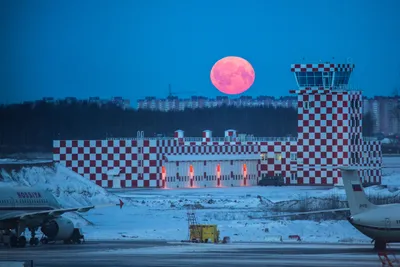 Март В Сочи: последние новости на сегодня, самые свежие сведения |  sochi1.ru - новости Сочи