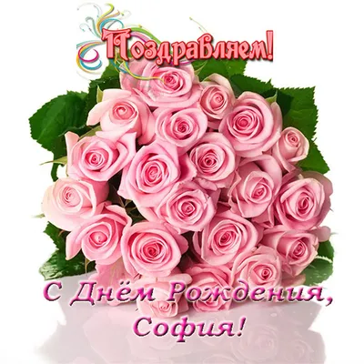 Открытка на День рождения Софии с красивыми нежными розами