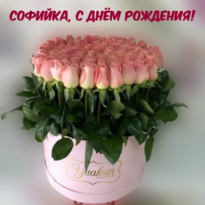 Софийка, С Днём Рождения!