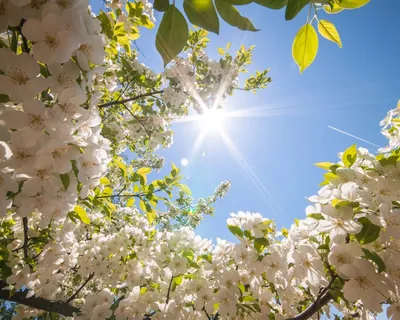 Пазл «Солнечная весна» из 130 элементов | Собрать онлайн пазл №163093