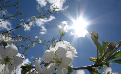 PRESLI.BY on X: \"☀ У нас отличная погодка! Яркое весеннее солнце и светит,  и греет!!!😍 А у вас? #ВЕСНАБУДЕТ #весна #веснапришла  http://t.co/lJvImDE06b\" / X