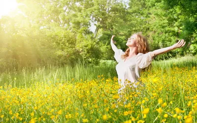 Магнолия пинка запаха девушки цветет солнечная весна девушка с красивым  цветком магнолии Стоковое Фото - изображение насчитывающей состав, весна:  118448542