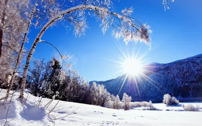 Солнечная зима | Зимние картинки, Зима, Картинки