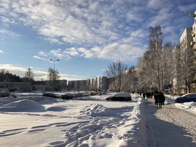 Яркая и солнечная зима! | RSBratsk | Дзен