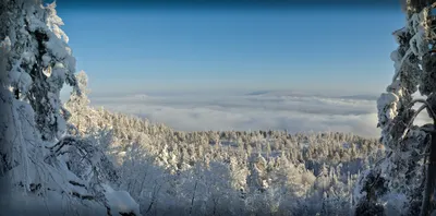 Солнечное зимнее утро - 64 фото