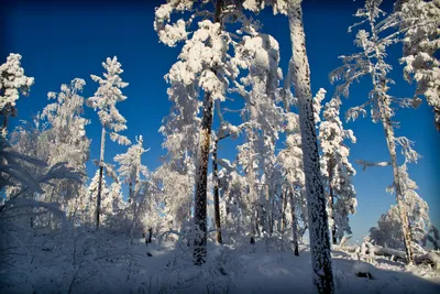 Winter snow nature landscape wallpaper | 5752x3835 | 889007 | WallpaperUP