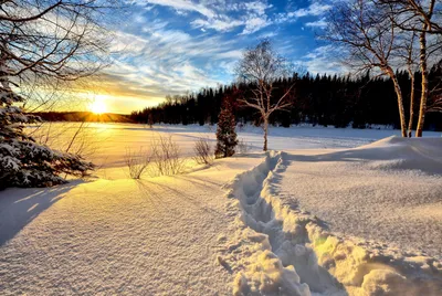 Солнечная зима (68 фото) - 68 фото