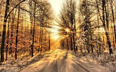 солнечная зима стоковое фото. изображение насчитывающей форма - 625226