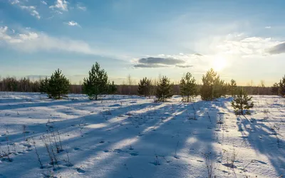 солнечная зима в центре города банф альберта канада Редакционное  Изображение - изображение насчитывающей городск, отражение: 215185640