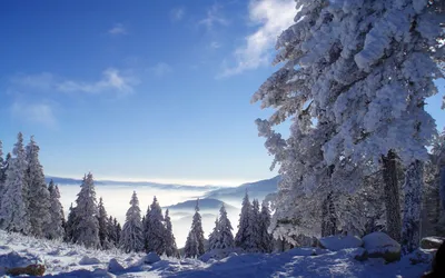 Обои Солнечная зима, снег, деревья, дома 1920x1200 HD Изображение
