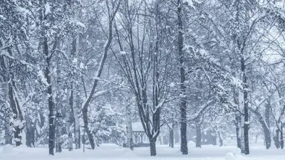 Гималаи+солнечная зима+подножие горы…» — создано в Шедевруме