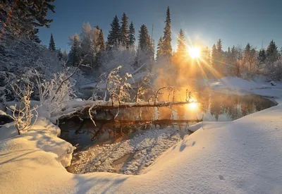 Зима лес солнце (76 фото) - 76 фото