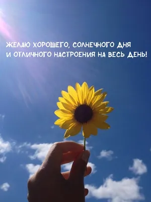 Счастье есть - Я желаю всем счастливого, радостного, солнечного дня! |  Facebook