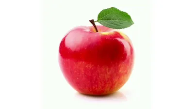 Сорта яблок с картинками фотографии