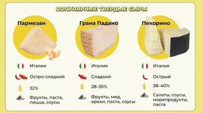 Разнообразие Сыра Изолировано На Белом Фоне Разные Сорта Сыра — стоковые  фотографии и другие картинки Сыр - iStock