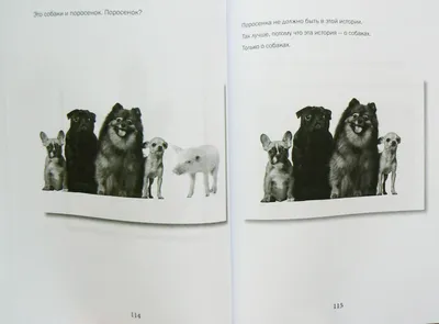 Травля детей-аутистов. Действительно ли они опасны? Комментирует психиатр |  Клиника доктора Шурова | Дзен