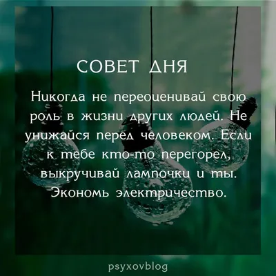 Совет дня...