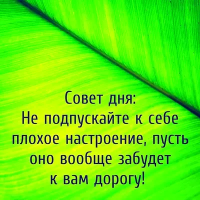 Что день грядущий нам готовит? Карты с аффирмацииями «Совет дня»