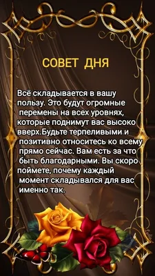 Совет дня / Новости / Администрация городского округа Истра