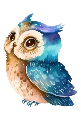 Owls. Совушки. PNG. | Плюшевая сова, Рисунки совы, Иллюстрации с животными