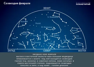 Созвездие Большой И Малой Медведицы На Ночном Небе — стоковая векторная  графика и другие изображения на тему Полярная звезда - Полярная звезда,  Большой Ковш, Большая Медведица - iStock