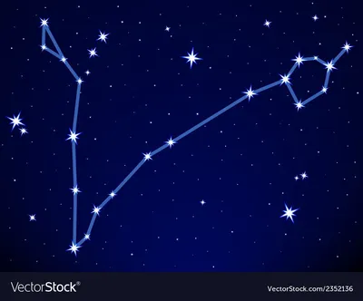Народные приметы на 20 апреля: много звезд на небе сулят изобилие грибов |  Вслух.ru