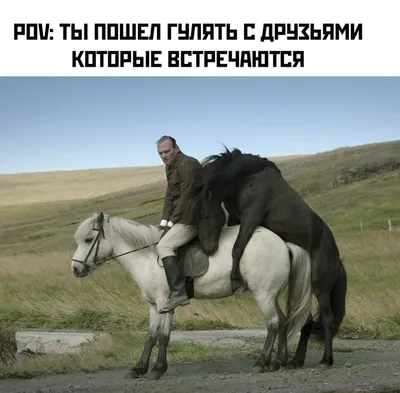 Спаривание лошадей с людьми картинки