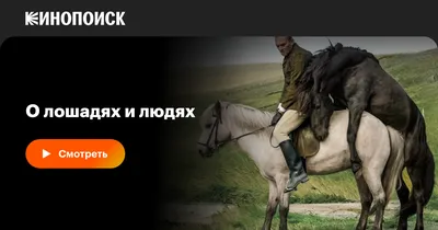 Спаривание Лошадей — стоковые фотографии и другие картинки Лошадь - Лошадь,  Спаривание животных, Без людей - iStock