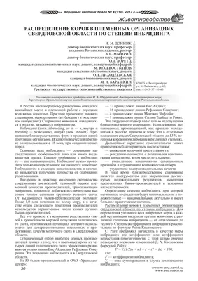 Какие животные спариваются. – смотреть онлайн все 3 видео от Какие животные  спариваются. в хорошем качестве на RUTUBE