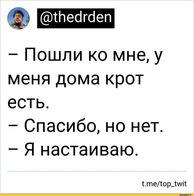 спасибо за внимание / смешные картинки и другие приколы: комиксы, гиф  анимация, видео, лучший интеллектуальный юмор.