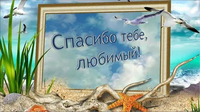 Плакат \"Спасибо, наш любимый детский сад\" 398872 Горчаков - купить оптом от  62,32 рублей | Урал Тойз