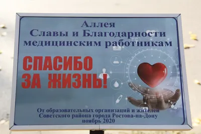 В Белгородской области подвели итоги акции «Спасибо врачам». Новости  общества