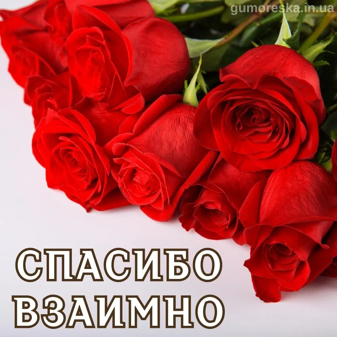 Взаимно открытка