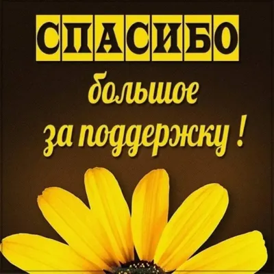 МБДОУ Детский сад №339 г.о. Самара on X: \"Благодарим весь коллектив  детского сада за слаженную работу и подготовку к МКДО (мониторинг качества  дошкольного образования)! Выражаем искреннюю благодарность родителям за  поддержку и помощь!