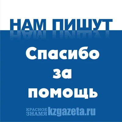 Благодарности пост. Дорогие друзья! Уважаемые наши помощники! Огромнейшее  спасибо вам за все! | приют \"Спасенная душа\" г. Астрахань | Дзен